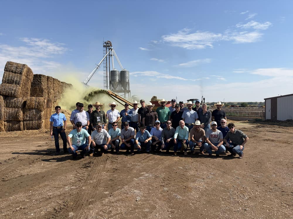 Grupo em confinamento com feed mill e feed truck ao fundo