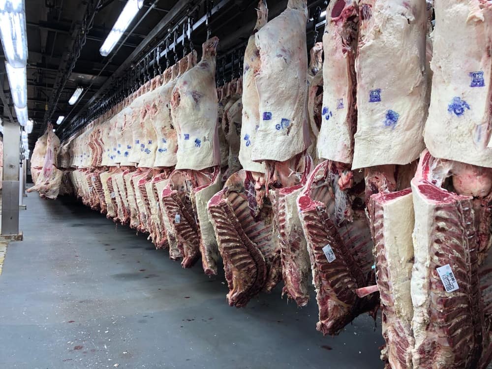Câmara de carcaças em frigorífico nos Estados Unidos